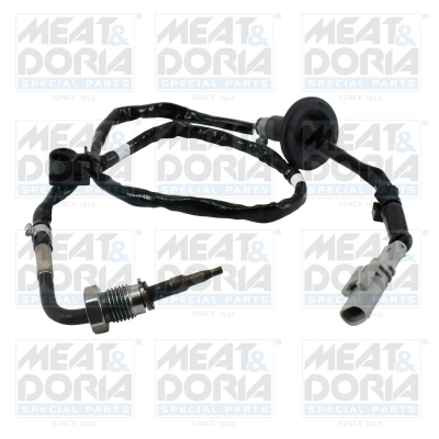 Sensor, exhaust gas temperature